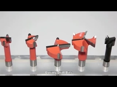 El carburo de tungsteno de la caña 10x20m m insertó la broca de madera del agujero de la extremidad